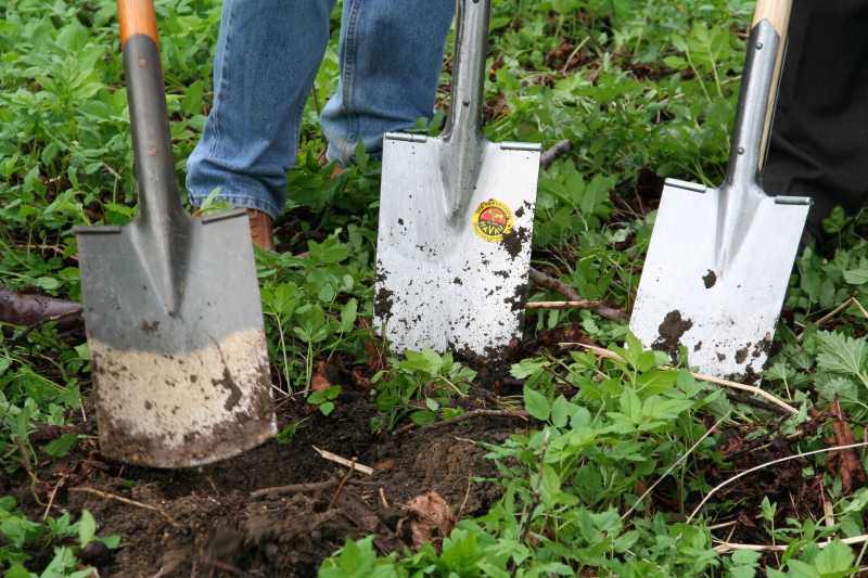 pepiniere-VINS SUR CARAMY-min_work-lawn-flower-tool-green-backyard-1103633-pxhere.com